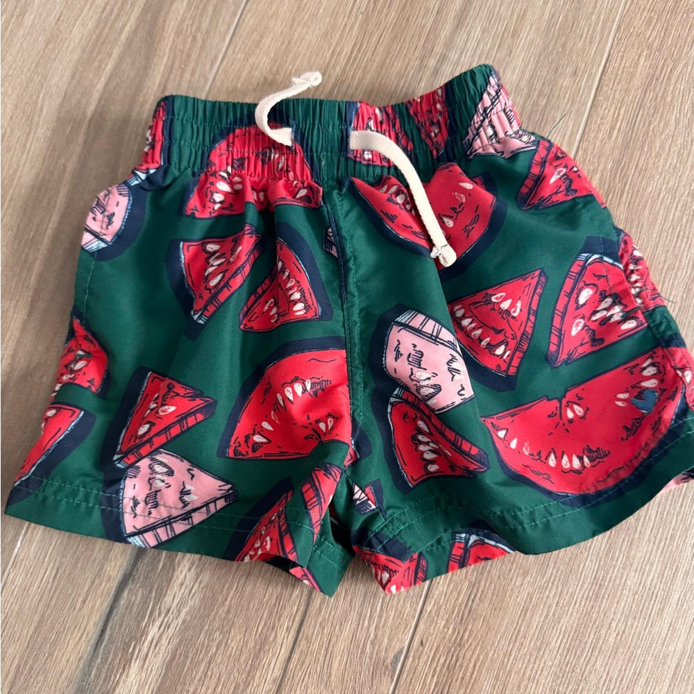 Blue Rooster Watermelon Print Kids Swim Trunks